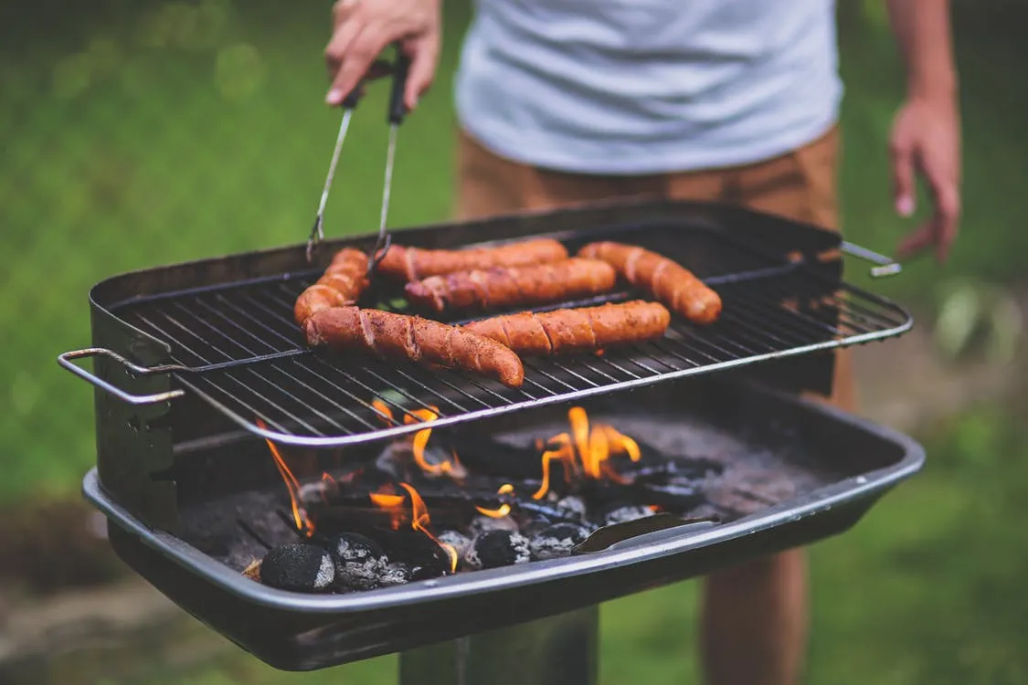 Pečenje mesa i ribe u pećnici na grilu | Naučite kako peći meso i ribu